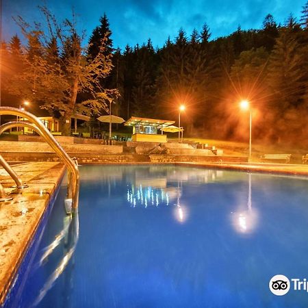 Apartament Day In Bordżomi Zewnętrze zdjęcie